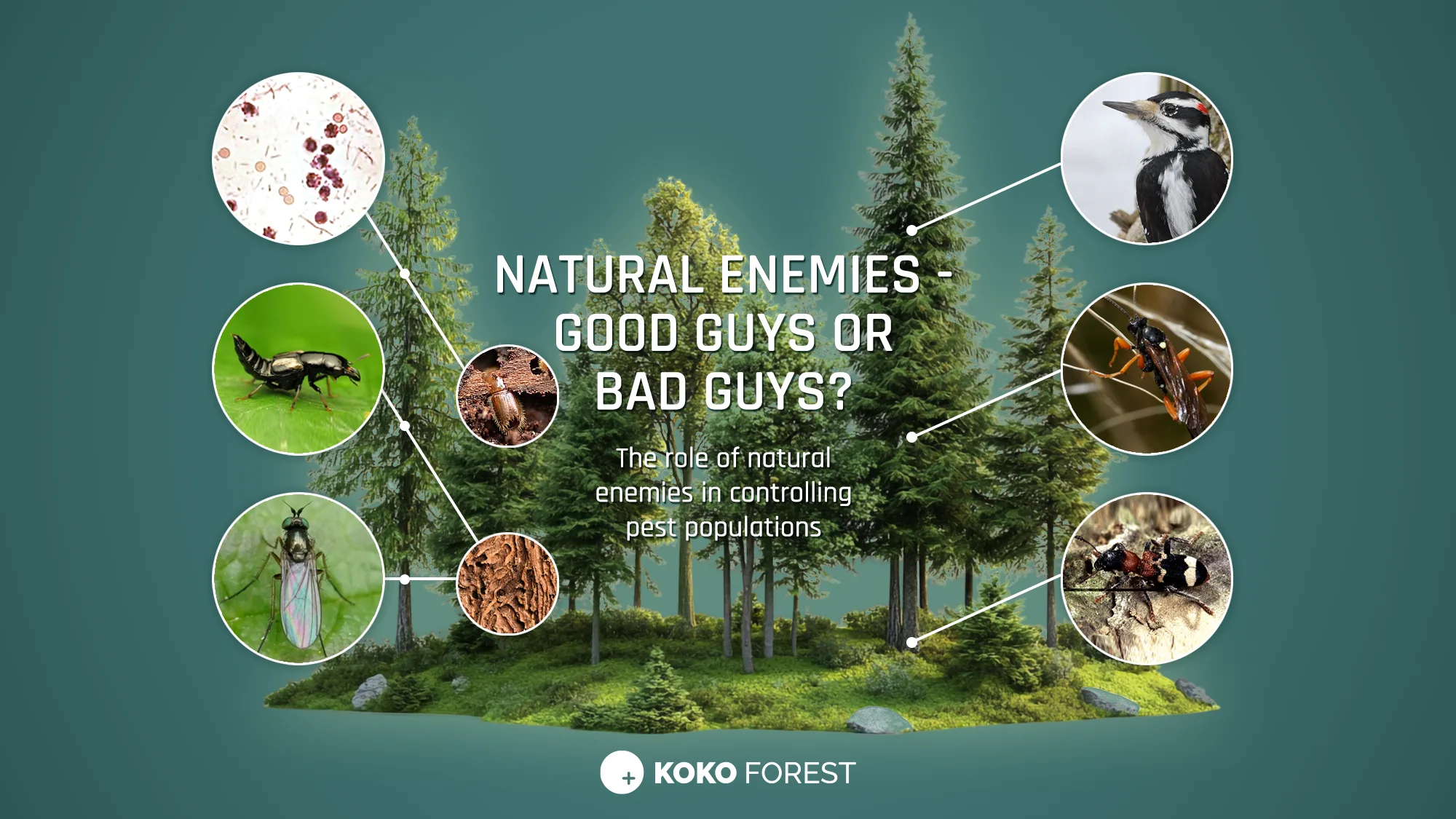 The importance of natural enemies in controlling pest populations can be significant.